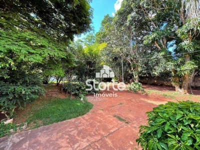 Chácara, 5100 m² - Foto 3