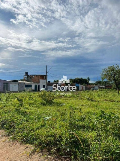 Chácara, 1000 m² - Foto 3