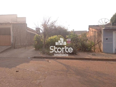 Terreno, 269 m² - Foto 5