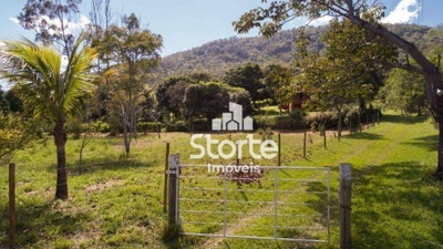 Fazenda, 19 hectares - Foto 1