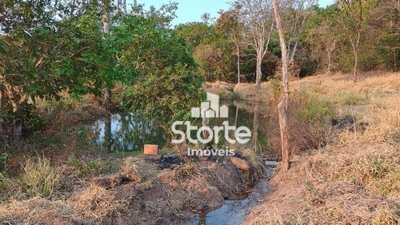 Chácara, 2 hectares - Foto 5