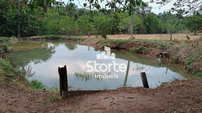 Chácara, 2 hectares - Foto 3