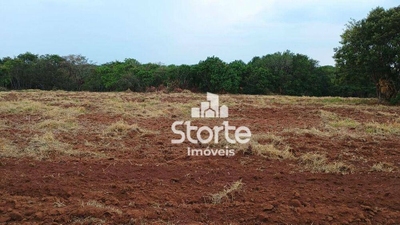 Chácara, 2 hectares - Foto 2