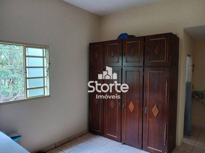 Chácara, 3 quartos, 5000 m² - Foto 3