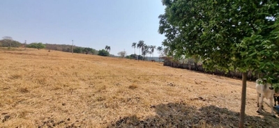 Fazenda-Sítio-Chácara, 136 hectares - Foto 4