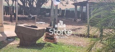 Fazenda-Sítio-Chácara, 136 hectares - Foto 2