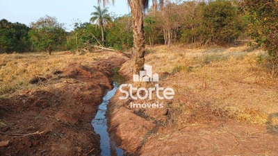 Chácara, 2 hectares - Foto 1