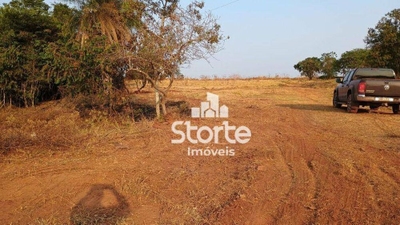 Chácara, 2 hectares - Foto 2