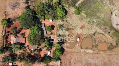 Fazenda-Sítio-Chácara, 797 hectares - Foto 4