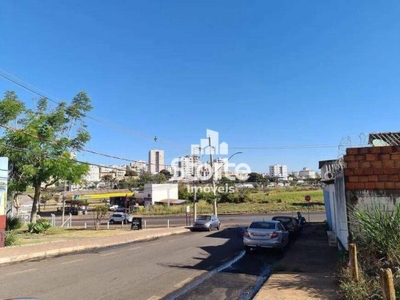 Terreno, 498 m² - Foto 3