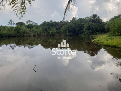 Sítio, 11 quartos, 27 hectares - Foto 3