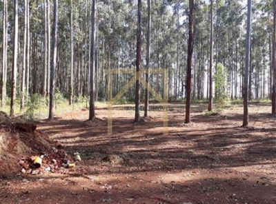 Fazenda-Sítio-Chácara, 469 m² - Foto 3