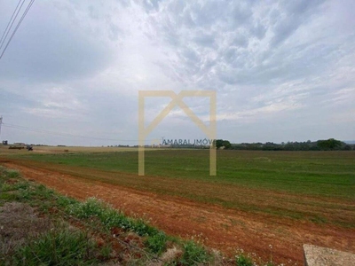 Fazenda-Sítio-Chácara - Foto 4