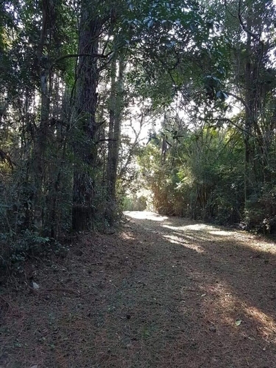 Sítio, 3 quartos, 4 hectares - Foto 2