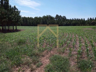 Fazenda-Sítio-Chácara, 11 m² - Foto 5