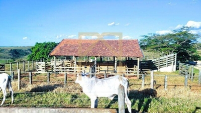 Sítio, 14 m² - Foto 2