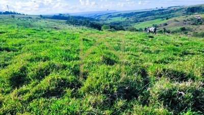 Sítio, 14 m² - Foto 4