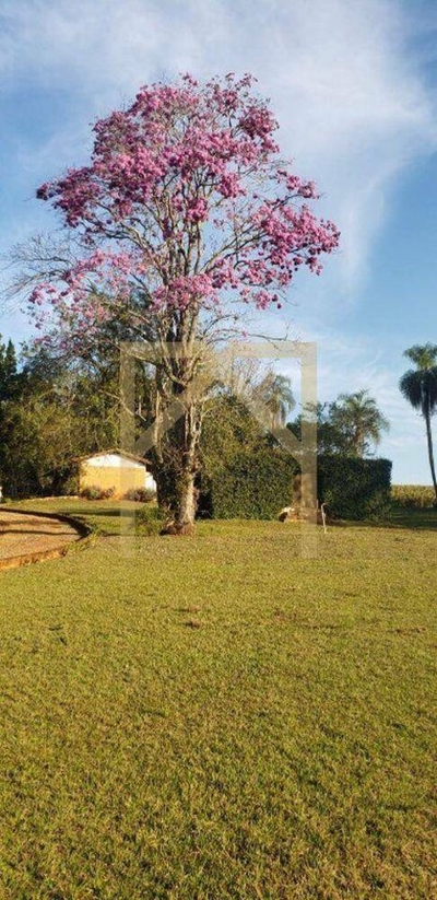 Fazenda-Sítio-Chácara, 13 m² - Foto 3