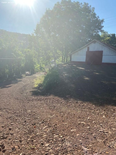 Terreno, 5 hectares - Foto 1