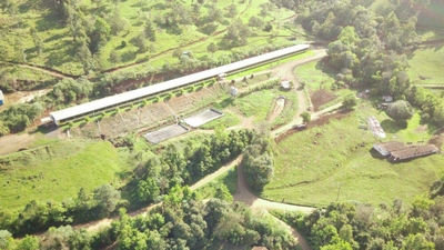 Fazenda-Sítio-Chácara, 51 hectares - Foto 1