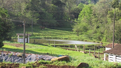 Fazenda-Sítio-Chácara, 51 hectares - Foto 4