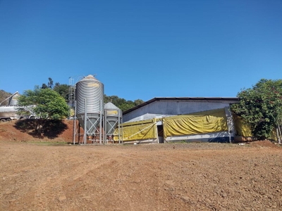 Fazenda-Sítio-Chácara, 15 hectares - Foto 3