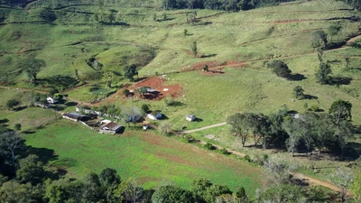 Fazenda-Sítio-Chácara, 224 hectares - Foto 3