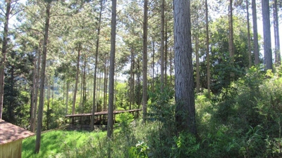 Loteamento e Condomínio, 22 hectares - Foto 2