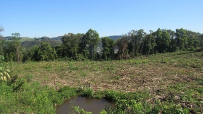 Casa, 1 quarto - Foto 1