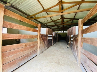 Fazenda-Sítio-Chácara, 34 hectares - Foto 3