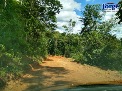 Terreno, 22 hectares - Foto 1