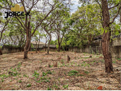 Terreno, 524 m² - Foto 3