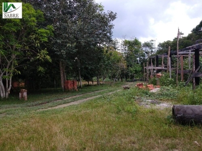 Sítio, 2 quartos, 7000 m² - Foto 2