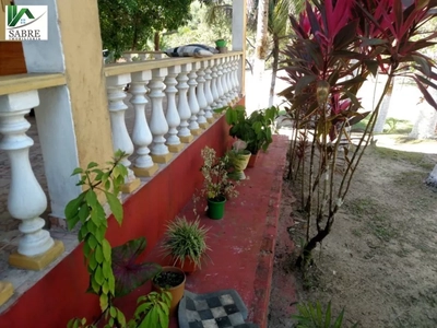 Sítio, 5 quartos, 20 hectares - Foto 4