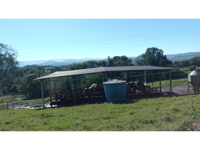 Fazenda-Sítio-Chácara - Foto 2