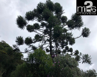 Fazenda-Sítio-Chácara, 2 quartos - Foto 3