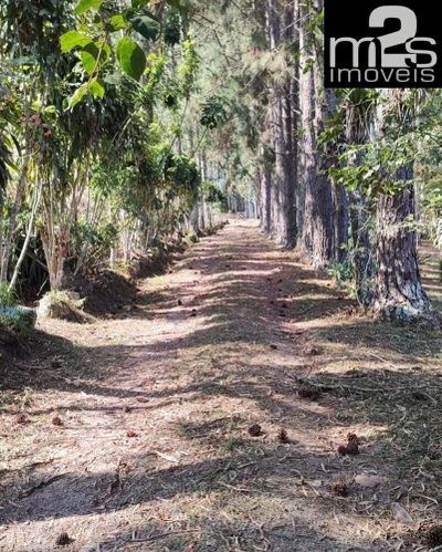 Sítio, 1 quarto - Foto 5