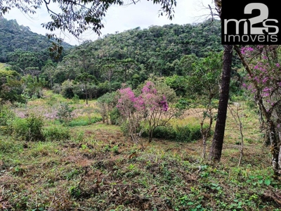 Sítio, 4 hectares - Foto 4