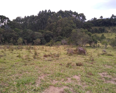 Chácara, 3 hectares - Foto 4