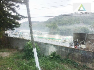 Casa, 7 quartos, 300 m² - Foto 5