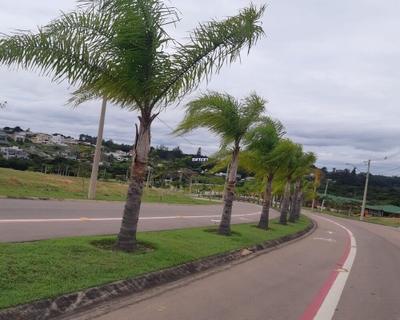 Terreno, 805 m² - Foto 5