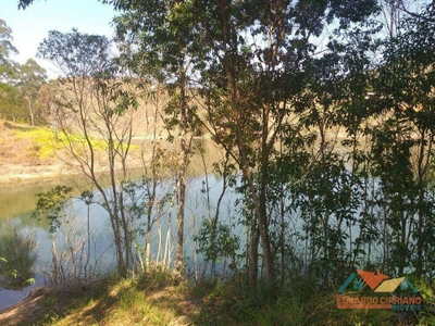 Sítio, 3 quartos, 3 hectares - Foto 2