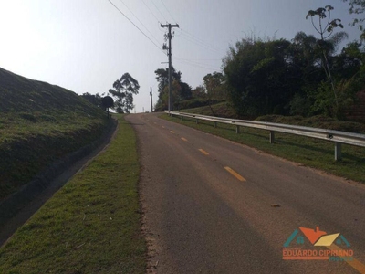 Sítio, 3 quartos, 4454 m² - Foto 2