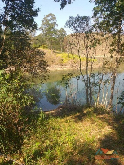 Chácara, 3 quartos, 3 hectares - Foto 1