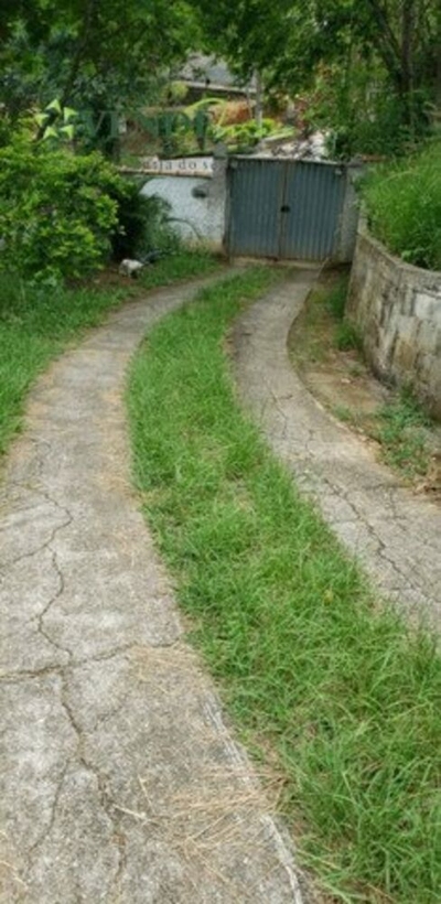 Casa, 4 quartos, 160 m² - Foto 4