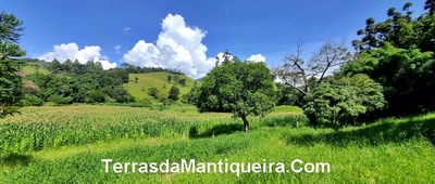Terreno, 4 hectares - Foto 3