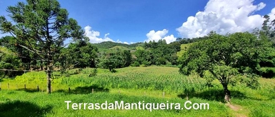 Terreno, 4 hectares - Foto 2
