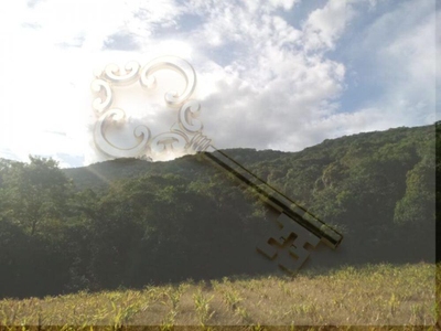 Loteamento e Condomínio, 13 hectares - Foto 5