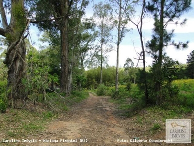 Loteamento e Condomínio, 32 hectares - Foto 3