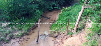 Sítio, 2 hectares - Foto 5